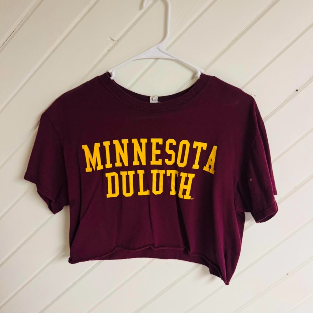 Minnesota Duluth Maroon Crop Top